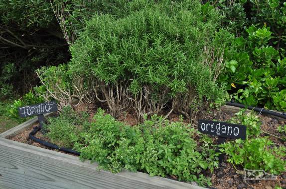 Parte da horta do restaurante La Huerta, em Punta del Este, no litoral do Uruguai